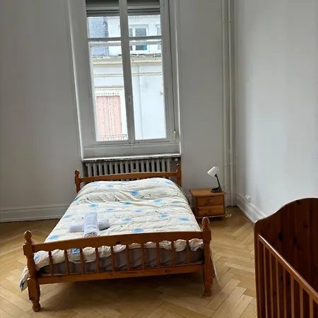 Bourgeois Au Coeur De Mulhouse
